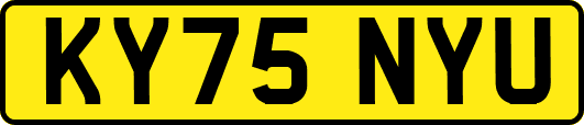 KY75NYU