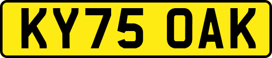 KY75OAK