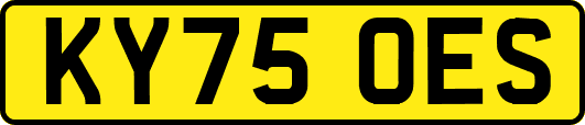 KY75OES
