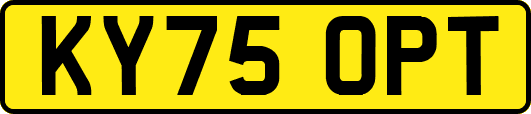 KY75OPT