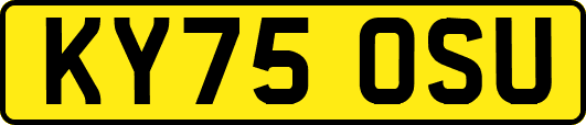 KY75OSU