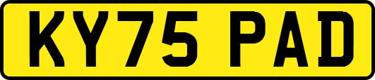 KY75PAD