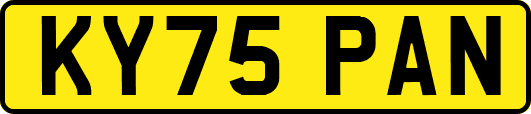 KY75PAN