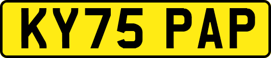 KY75PAP