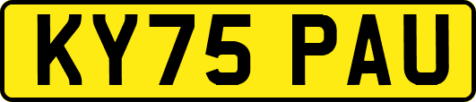 KY75PAU