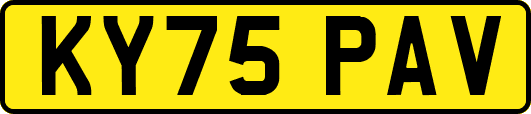 KY75PAV