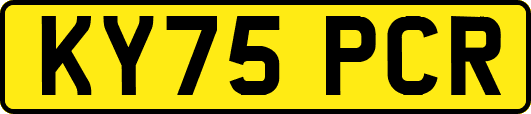 KY75PCR