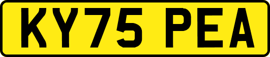KY75PEA