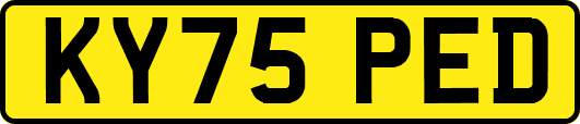 KY75PED