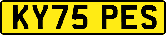 KY75PES