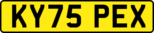 KY75PEX