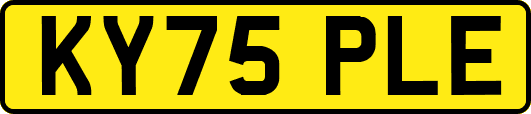 KY75PLE