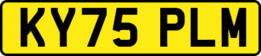 KY75PLM