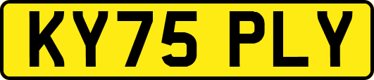 KY75PLY