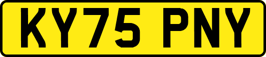 KY75PNY