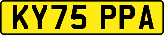 KY75PPA