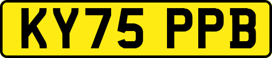 KY75PPB