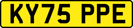 KY75PPE