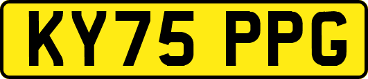 KY75PPG