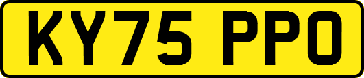 KY75PPO