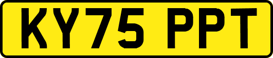 KY75PPT
