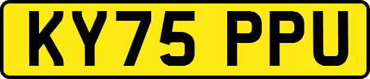 KY75PPU