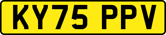 KY75PPV