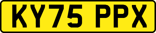 KY75PPX