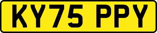KY75PPY