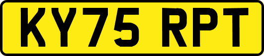KY75RPT