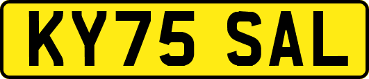 KY75SAL