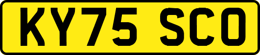 KY75SCO