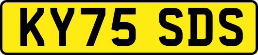KY75SDS