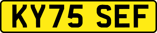 KY75SEF