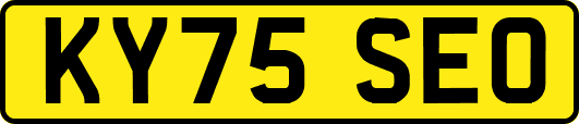 KY75SEO