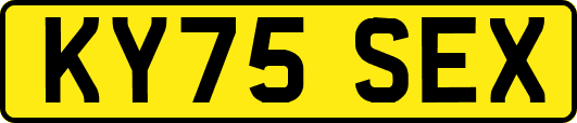 KY75SEX
