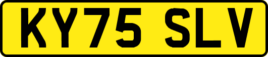 KY75SLV