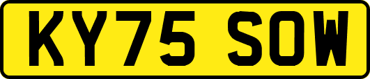KY75SOW