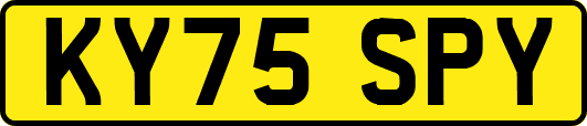 KY75SPY