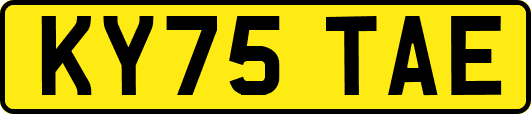 KY75TAE