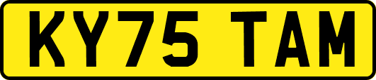KY75TAM