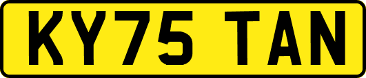 KY75TAN