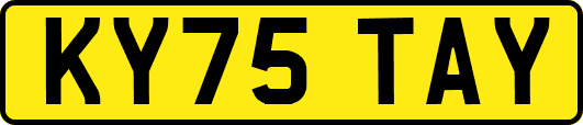 KY75TAY