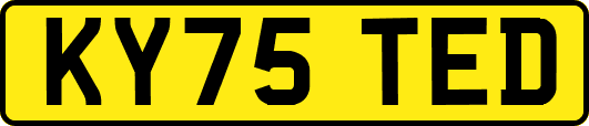 KY75TED