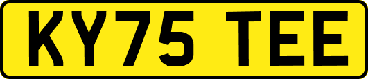 KY75TEE