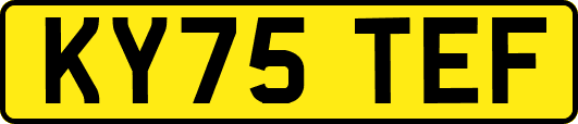 KY75TEF