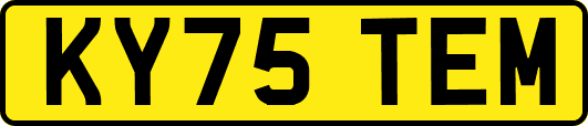 KY75TEM