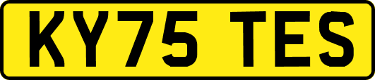 KY75TES