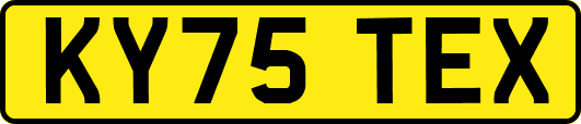 KY75TEX