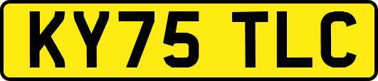 KY75TLC